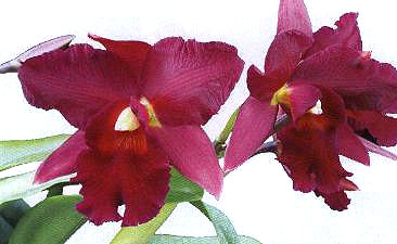 �����m���x������