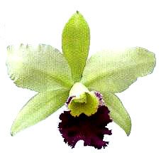 �����m���x������