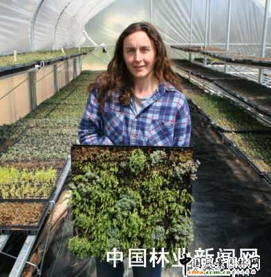 ��ֲ���fԒ���܌�ֲ�����L����