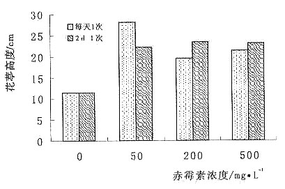 ��ù�ز�ͬ��Ⱥ�̎���l�ʌ�����߶ȵ�Ӱ�