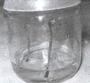 �и�ާ�ֲ���������~