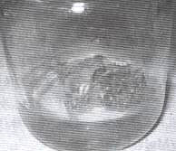 �и�ާ�ֲ������M����