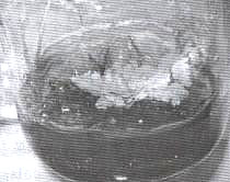 ާ�ֲ��M��������