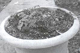 �M�������������ɻ����������o�ϰl����ѿ�γ�ȭ���~