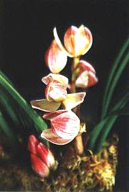 �ۺ�2005���_Ʒ