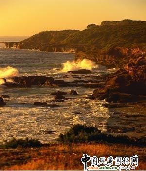 ȫ��˴�����ʥ��(�M�D)