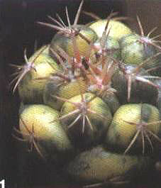 �������\