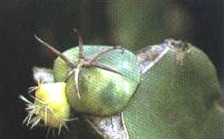 ����ͻ������޽ӵ�������