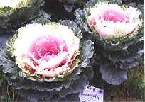 ������10̖-3��(��Dong(3hun No��10-3��)