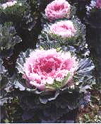 ������10̖-4��(��Dong(3hun No��10-4��)