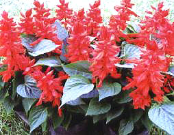 һ���t���W�\(y��n)ʥ��1120��