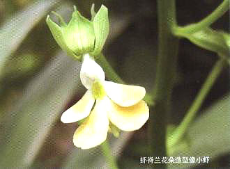 �r���m����������С�r