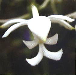 �����r���m