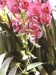 �r���m�ڴ�ޥ�mǰ�@�÷ǳ�����