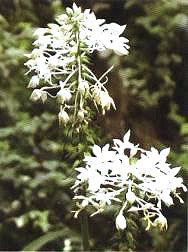 �����r���m