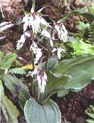 ����r���m