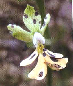 �r���m������