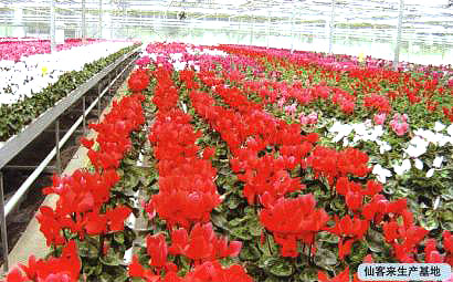 �ɿ́�(l��i)���a(ch��n)����