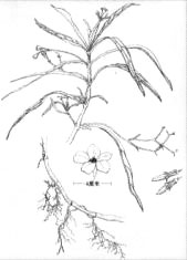 ���J���ΑB(t��i)ʾ��D