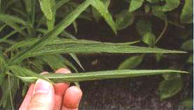 ���J���~Ƭ�ΑB(t��i)