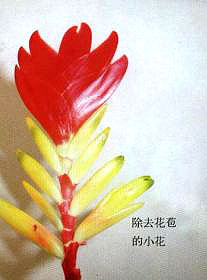 �����P�����N�P(gu��n)�I���E