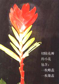 �����P�����N�P(gu��n)�I���E