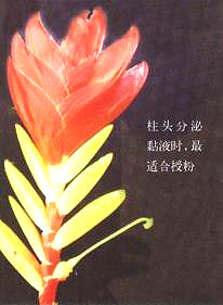 �����P�����N�P(gu��n)�I���E