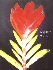 �����P�����N�P(gu��n)�I���E