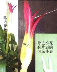 �������P��������^��