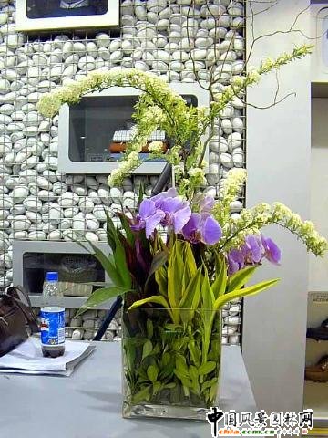 �p�����R �������廨���(�M�D)