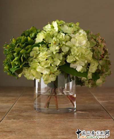 �p�����R �������廨���(�M�D)