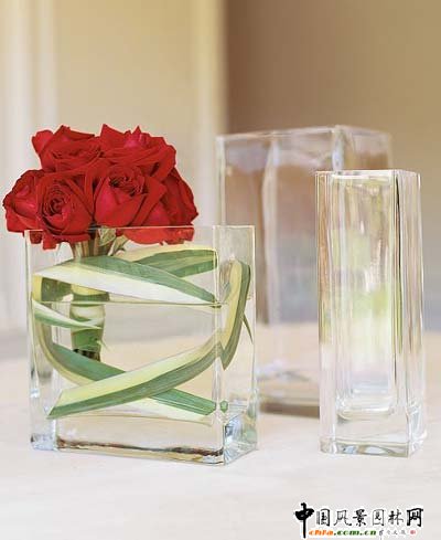 �p�����R �������廨���(�M�D)