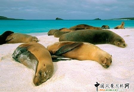 ����ʮ����эu�Z(�M�D)