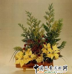 ʥ�Q�廨���p(�M�D)