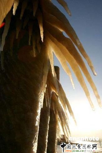 �B�Ƹۺ��I�F��Ҋ����