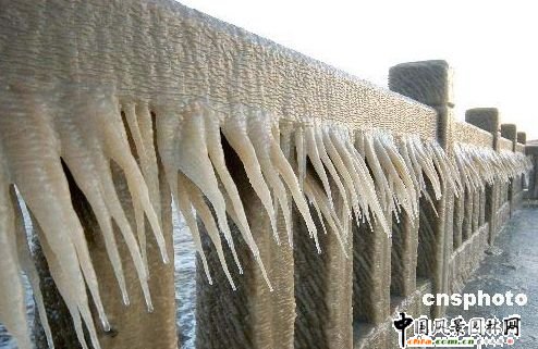 �B�Ƹۺ��I�F��Ҋ����