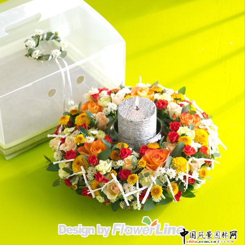 �n���L���ʥ�Q�廨(�M�D)