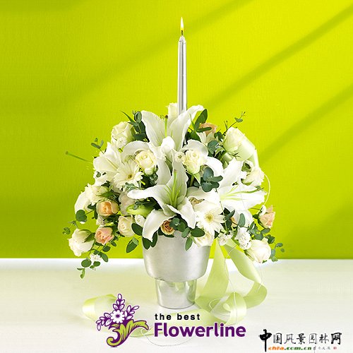 �n���L���ʥ�Q�廨(�M�D)