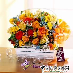 �n���L���ʥ�Q�廨(�M�D)