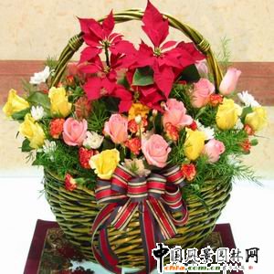 �n���L���ʥ�Q�廨(�M�D)