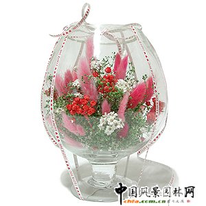 �n���L���ʥ�Q�廨(�M�D)