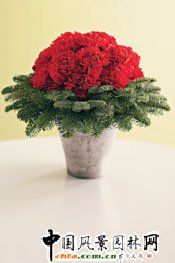 ʥ�Q��ˇDIY(�M�D)