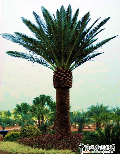 2008�Ї�����ɽ���Ϸ��G����ľ���[�����Ϸ��G���@