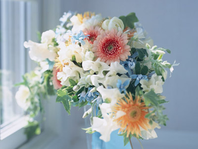 �҃�(n��i)ֲ���B(y��ng)�������