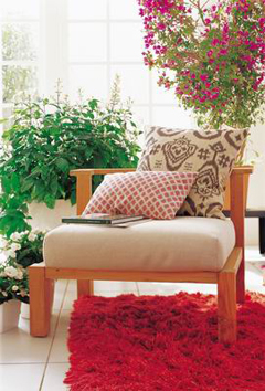 �҃�(n��i)ֲ���B(y��ng)�������