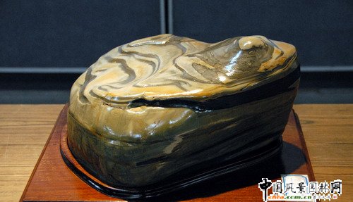 �|�����@��ʯչ(�M�D)