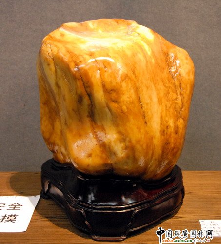 �|�����@��ʯչ(�M�D)