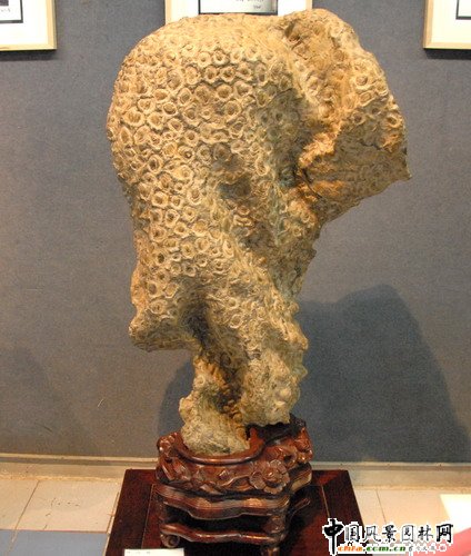 �|�����@��ʯչ(�M�D)