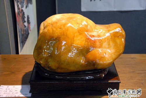 �|�����@��ʯչ(�M�D)