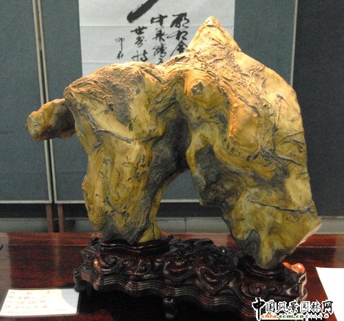 �|�����@��ʯչ(�M�D)